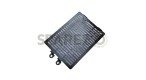 Royal Enfield Road Rash GT Continental and Interceptor 650 Radiator Grille Guard Black - SPAREZO